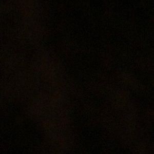 Meet your Posher, Kira